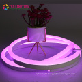 Quality RGB/W Dimmable Neon Flex LED Strip Light